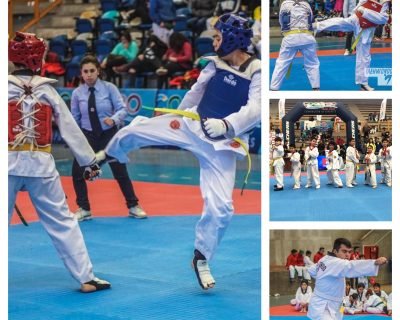 Academia de Taekwondo